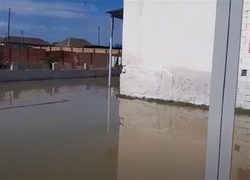 В Гаджигабуле затопило дома и фермы - ВИДЕО