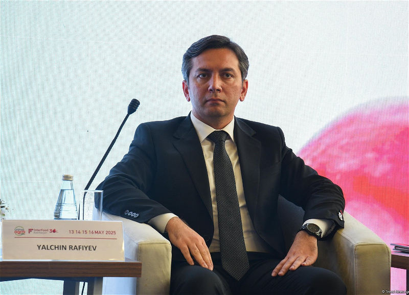 При Министерстве иностранных дел Азербайджана создано Управление климатической дипломатии