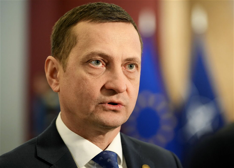 Министр: Латвия и Азербайджан могут сотрудничать в восстановлении лесов на освобожденных территориях