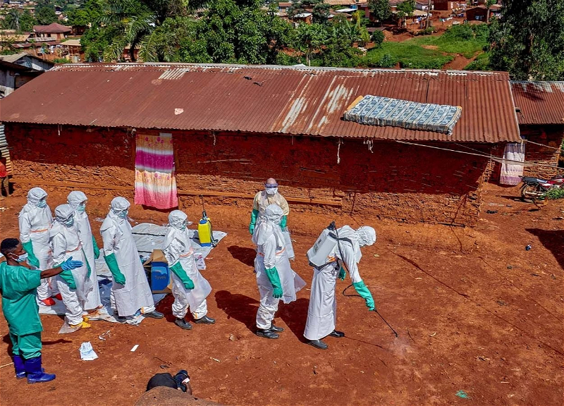 Dünya Kuboku öncəsi Ebola həyəcanı: Braziliyada şübhəli hallar qeydə alındı