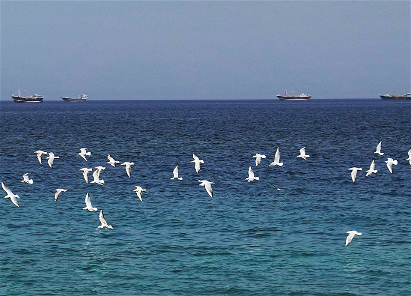 UN: blocking Strait of Hormuz will affect lives of nearly a billion people