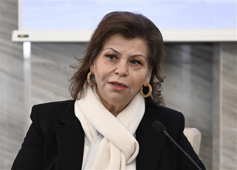 Махира Гусейнова: В ряде вузов Азербайджана началось преподавание темы Западного Азербайджана