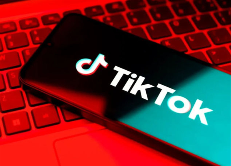 Фирудин Гурбанов: в школах Азербайджана заблокирован доступ к TikTok