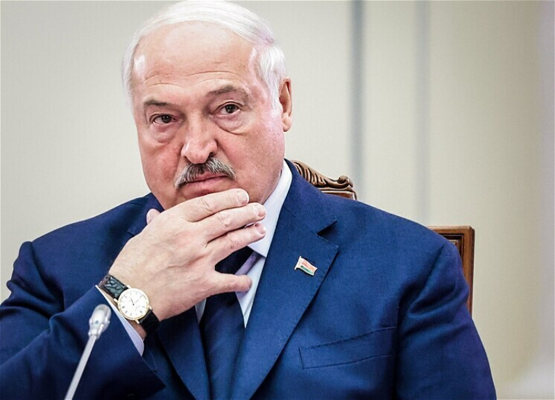 Лукашенко подарили необычную телочку